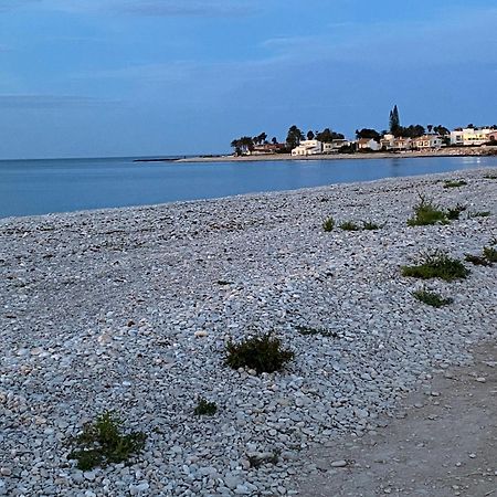 Pepe Βίλα Denia Εξωτερικό φωτογραφία
